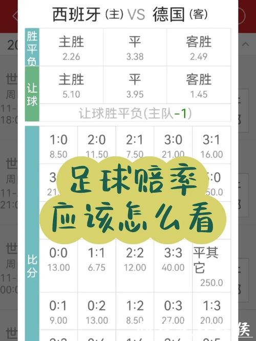 世界杯投注官网赔率详解及玩法技巧